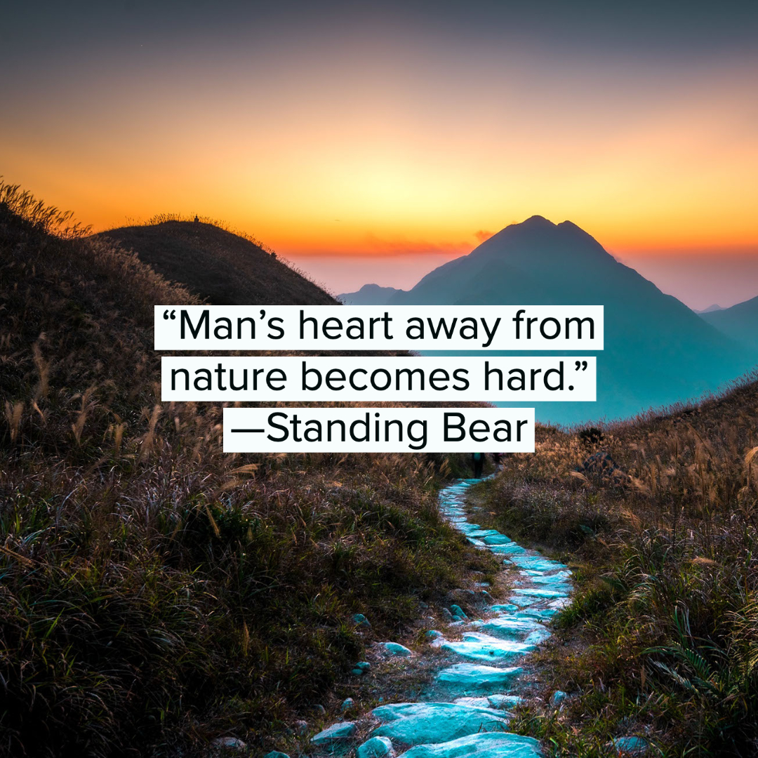 Nature Quotes 