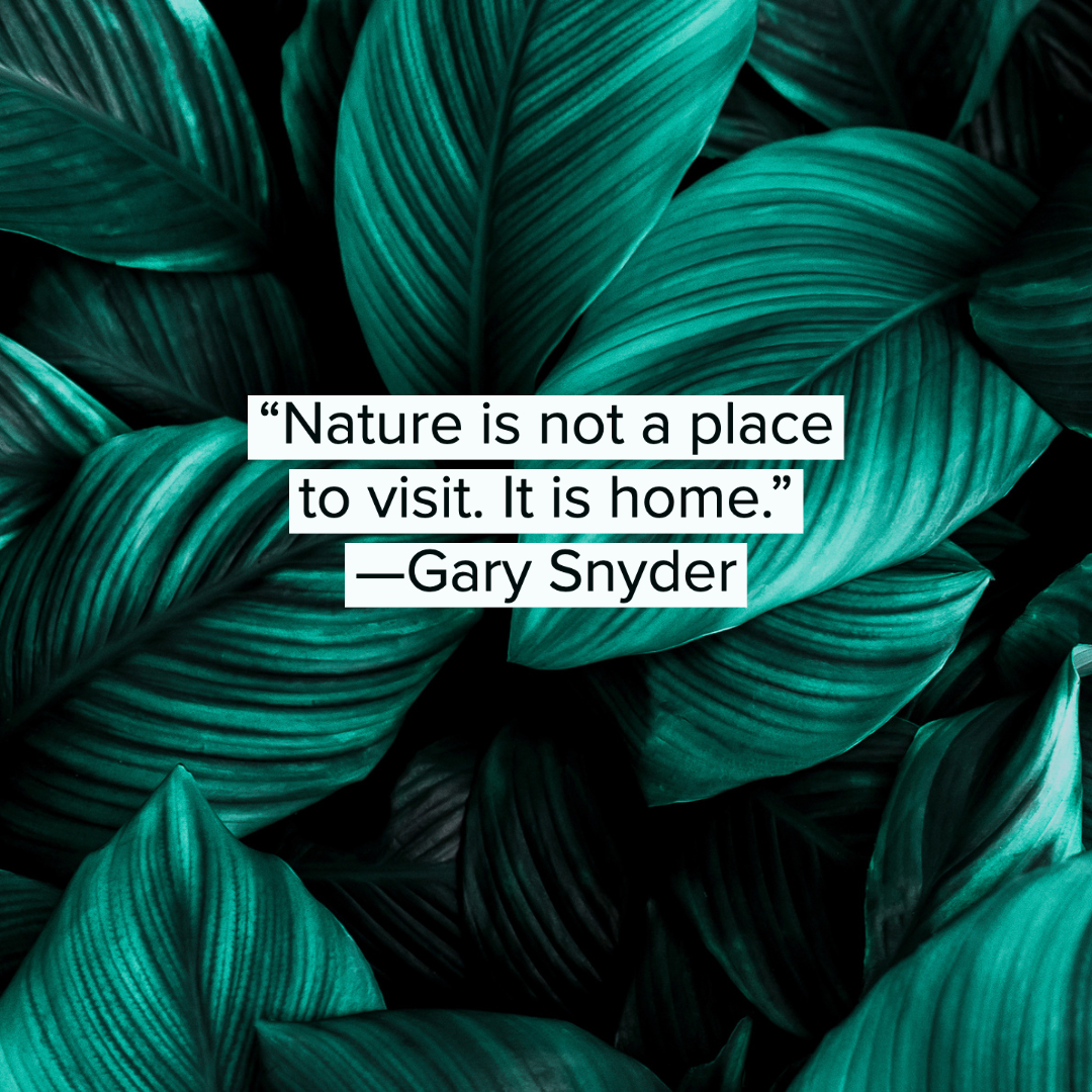 Nature Quotes 