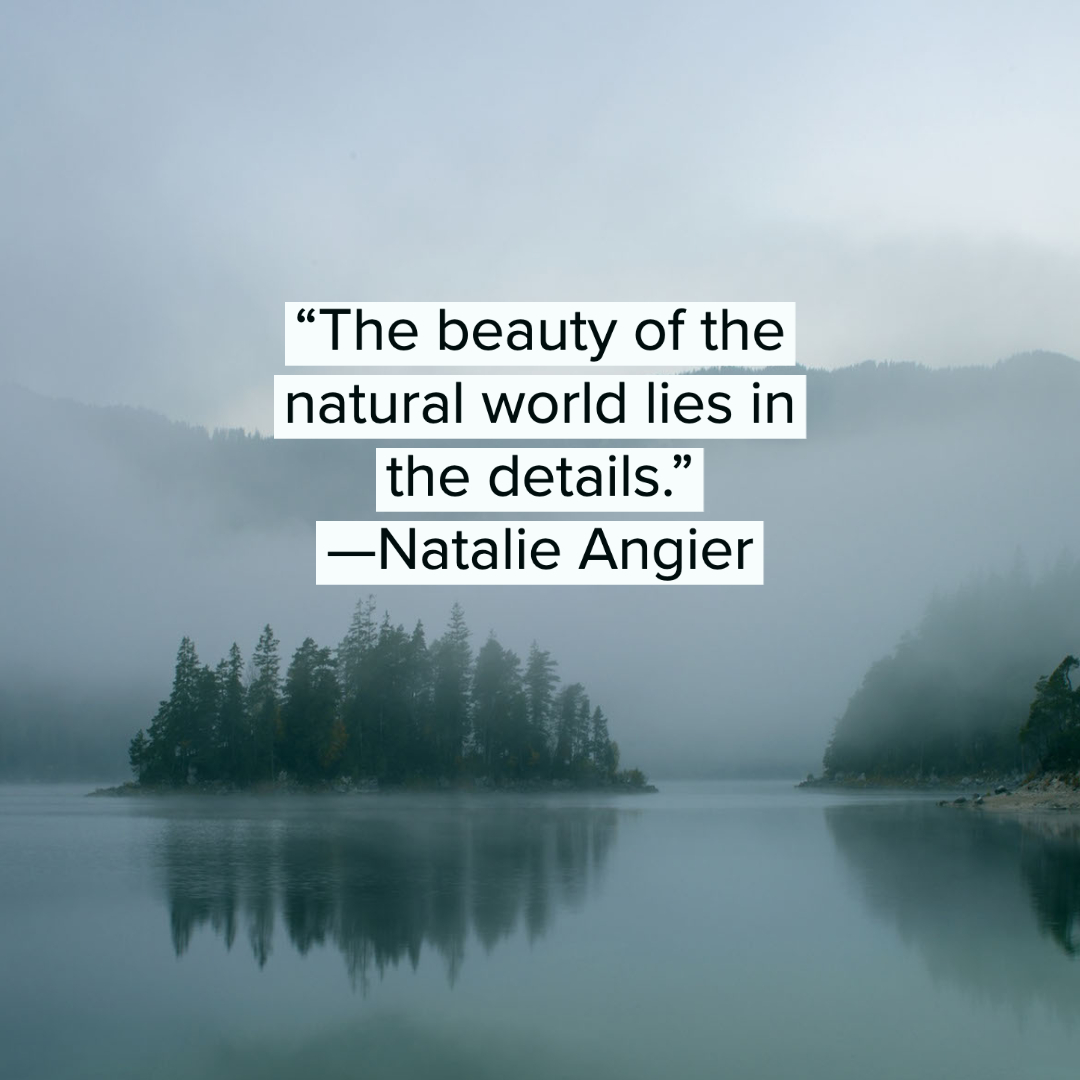 Nature Quotes 