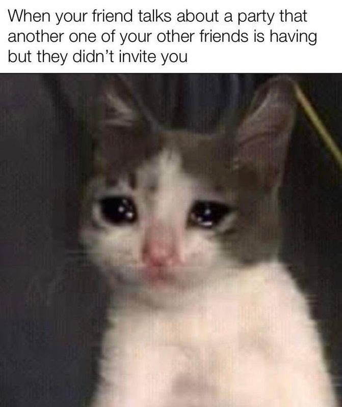 Crying Cat Meme