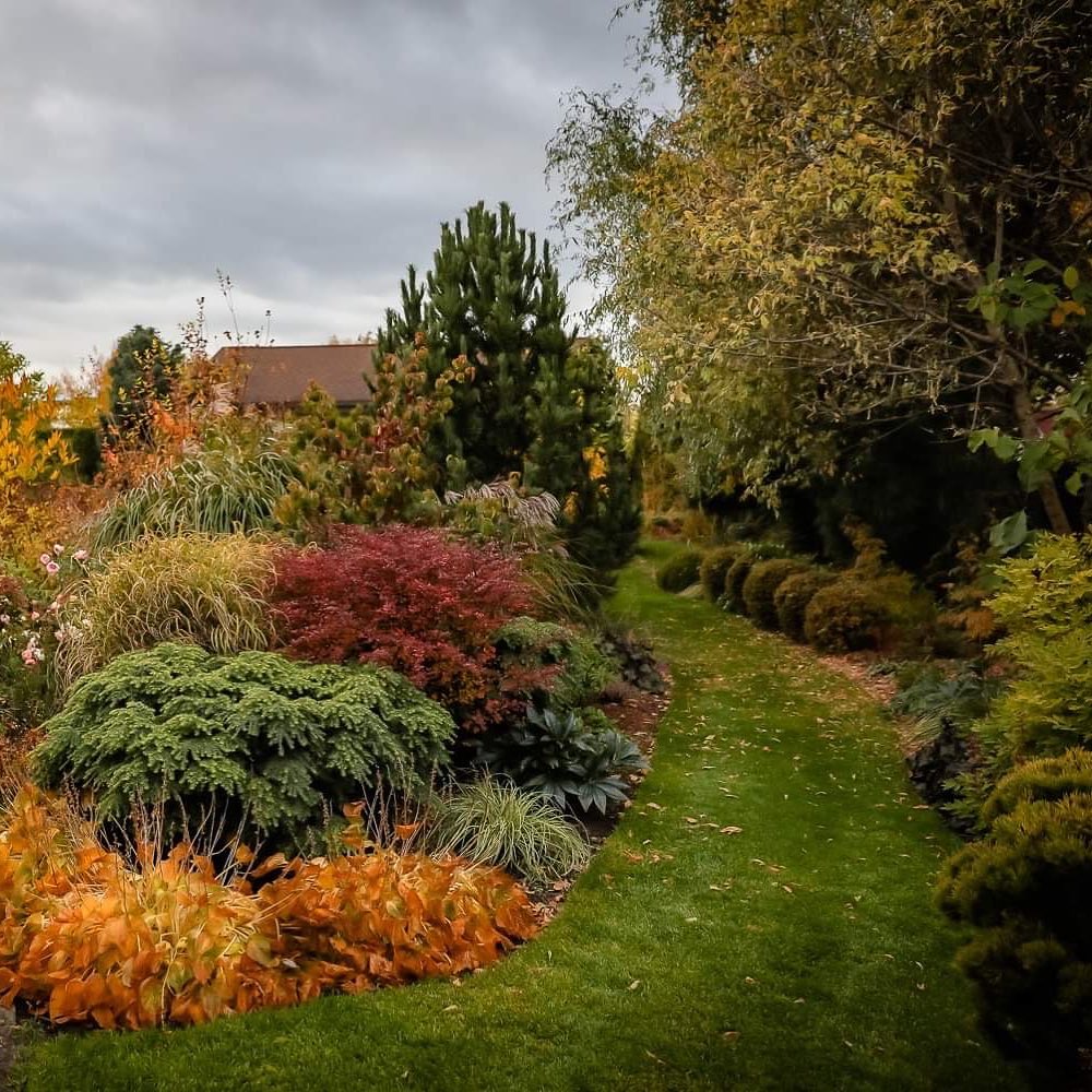 Autumn Garden Photos