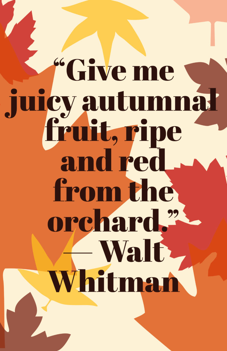 Fall Quotes