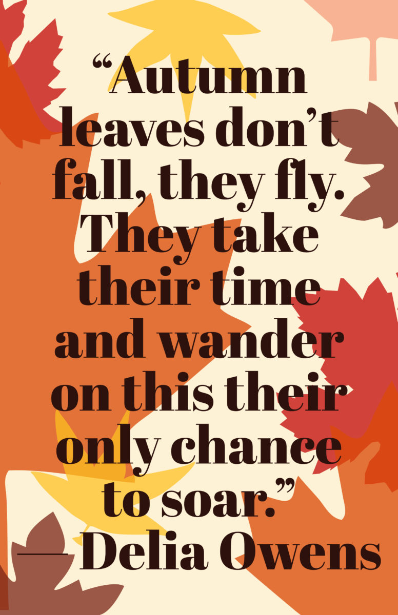 Fall Quotes