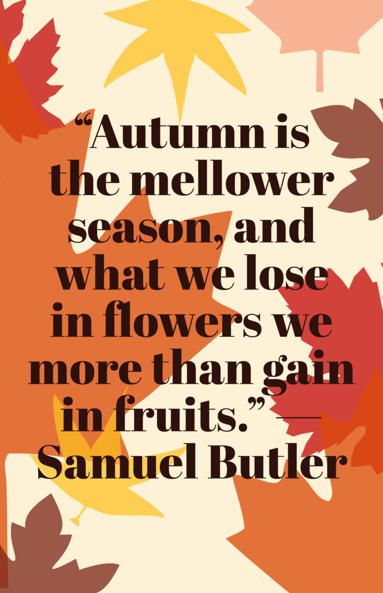 Fall Quotes