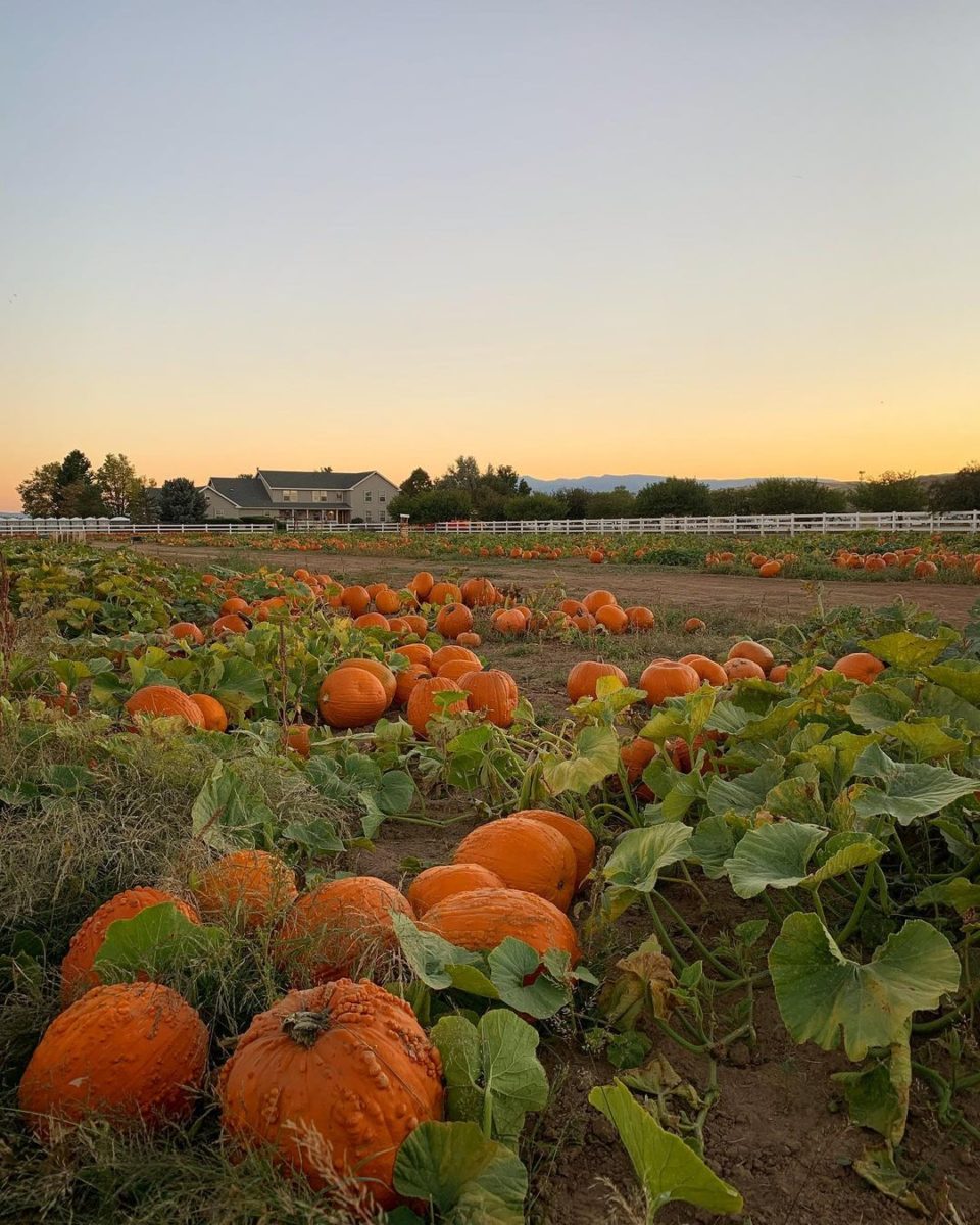 Halloween Activities for Kids 