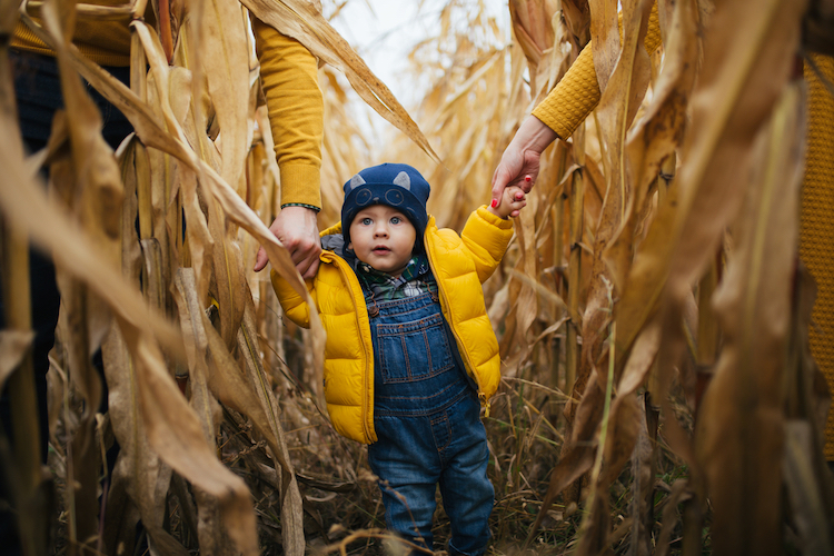 Halloween Activities for Kids