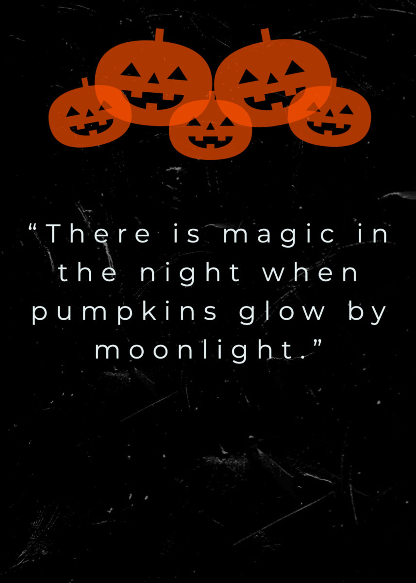 31 Magical Witch Quotes for Halloween That Will Cast a Spell On You | Are you trying to get into the Halloween spirit? The holiday would be nothing without magic so check out these wonderful witch quotes.