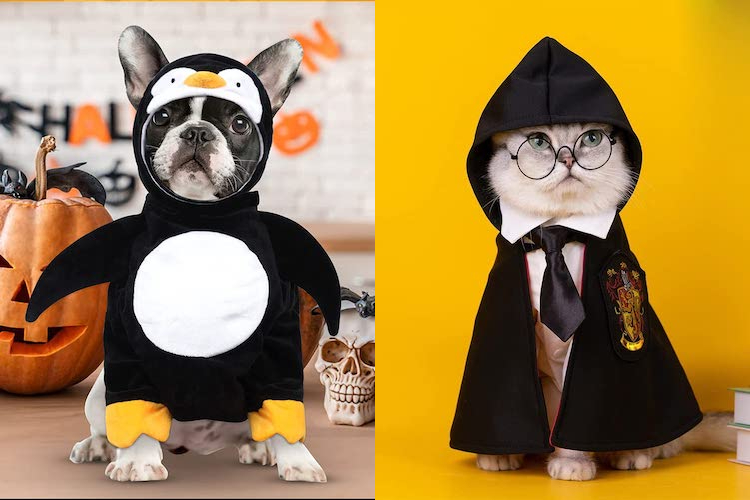 Pet Halloween Costumes