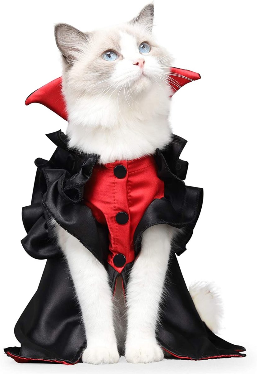 Pet Halloween Costumes