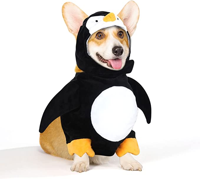 Pet Halloween Costumes