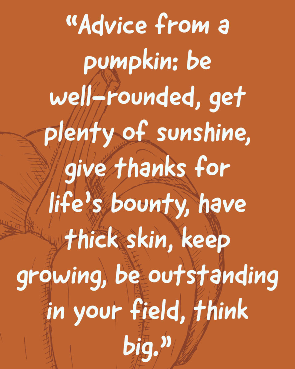 Pumpkin Quotes and Puns