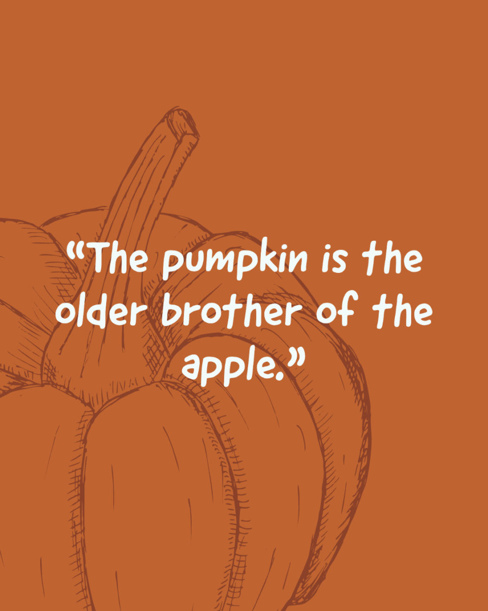 Pumpkin Quotes and Puns