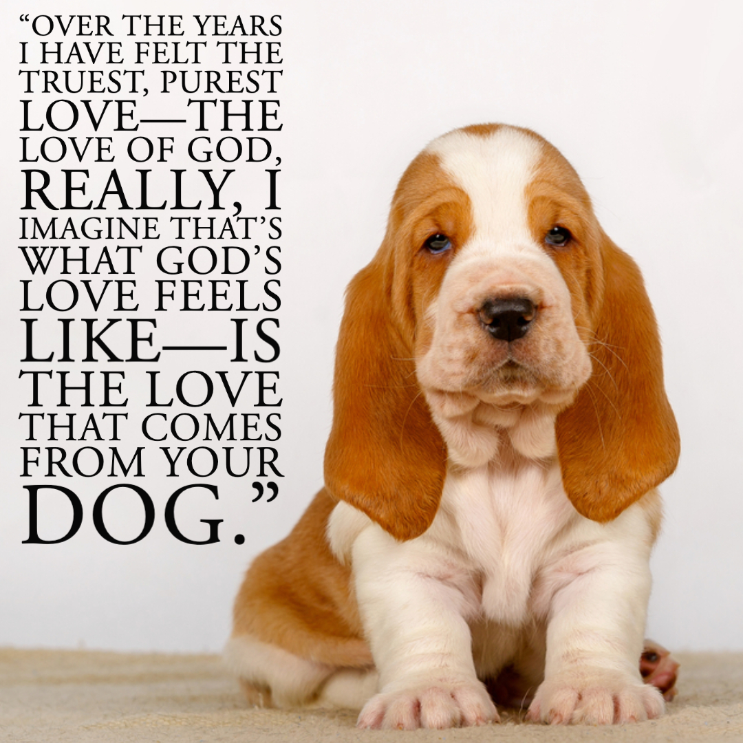 Quotes About Dogs