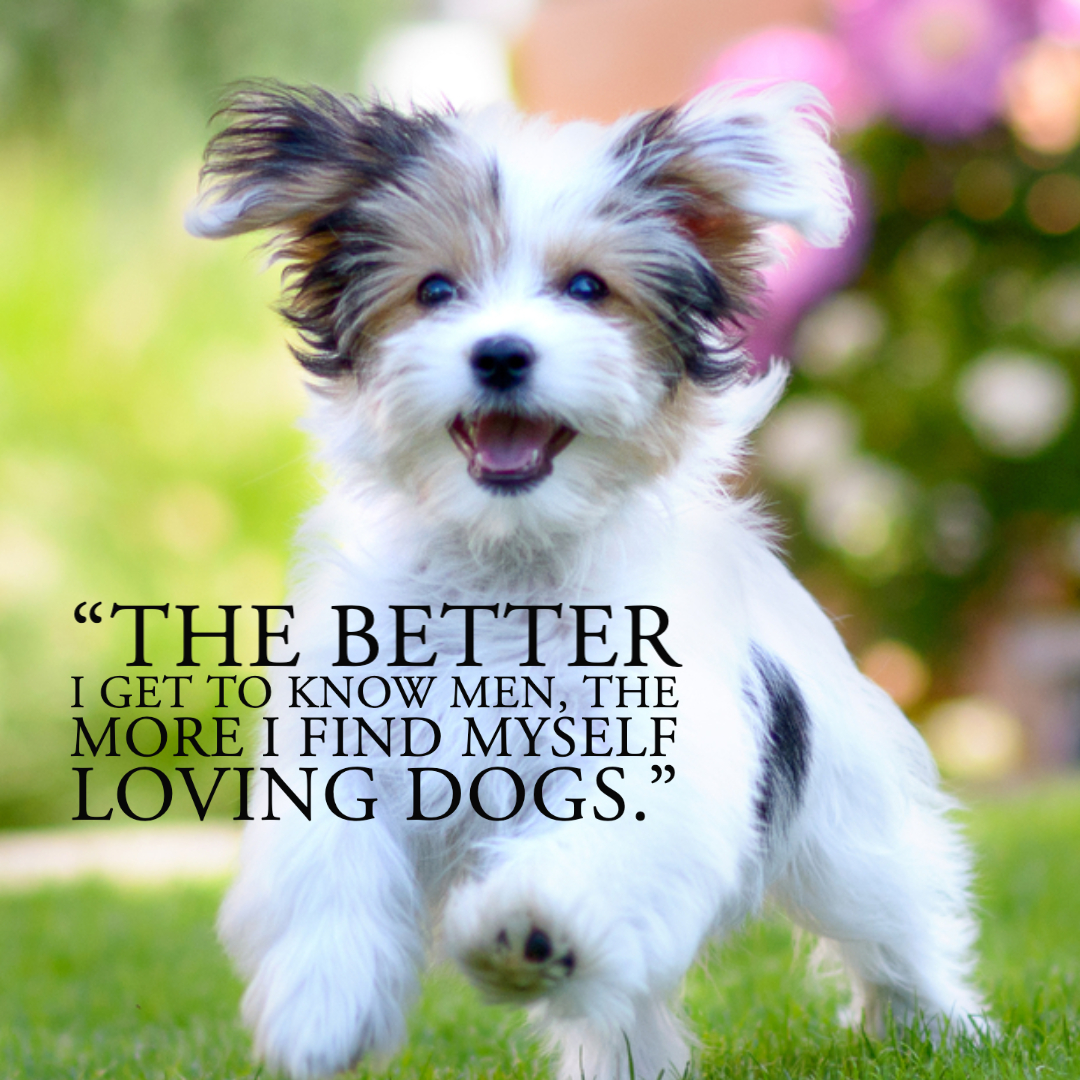 Quotes About Dogs