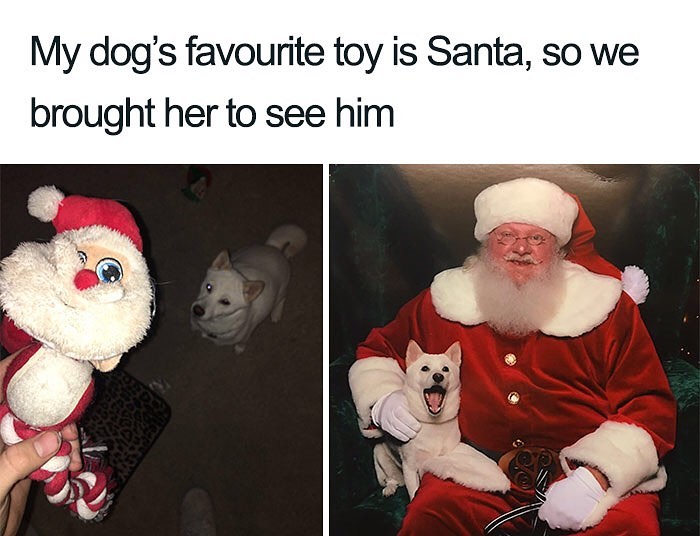 25 Funny Christmas Memes That Will Make You Feel Better If You're Stressed Over the Holidays | Enjoy some holiday humor with these hilarious Christmas memes.