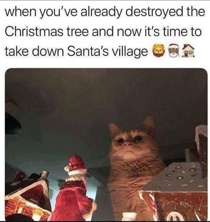 25 Funny Christmas Memes That Will Make You Feel Better If You're Stressed Over the Holidays | Enjoy some holiday humor with these hilarious Christmas memes.