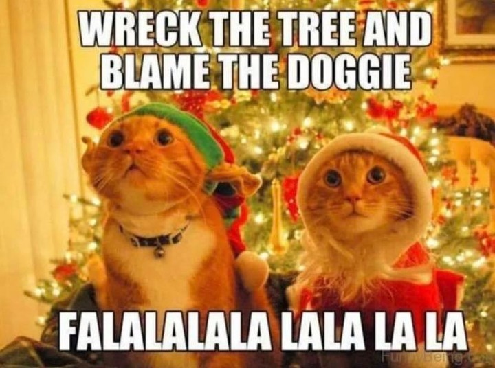 25 Funny Christmas Memes That Will Make You Feel Better If You're Stressed Over the Holidays | Enjoy some holiday humor with these hilarious Christmas memes.