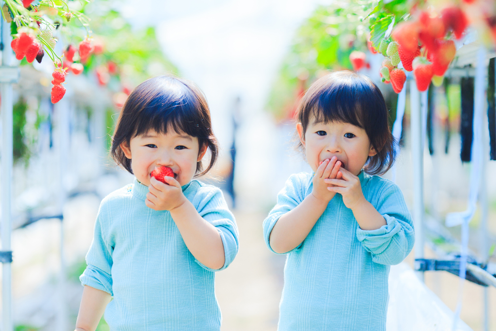 Unique Twin Names