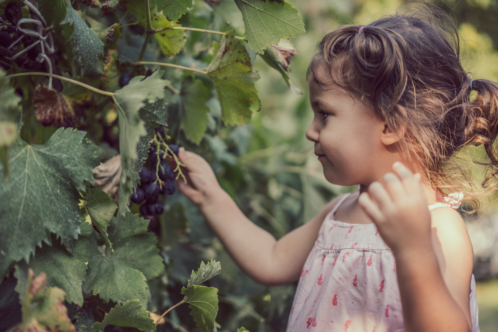 Italian Baby Names 