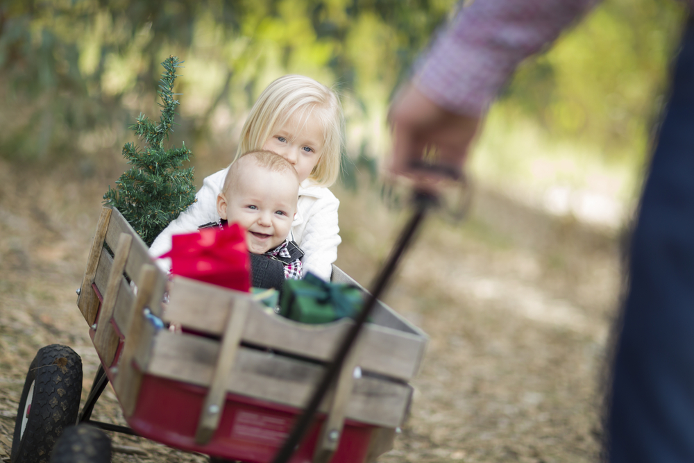 Christmas Baby Names 