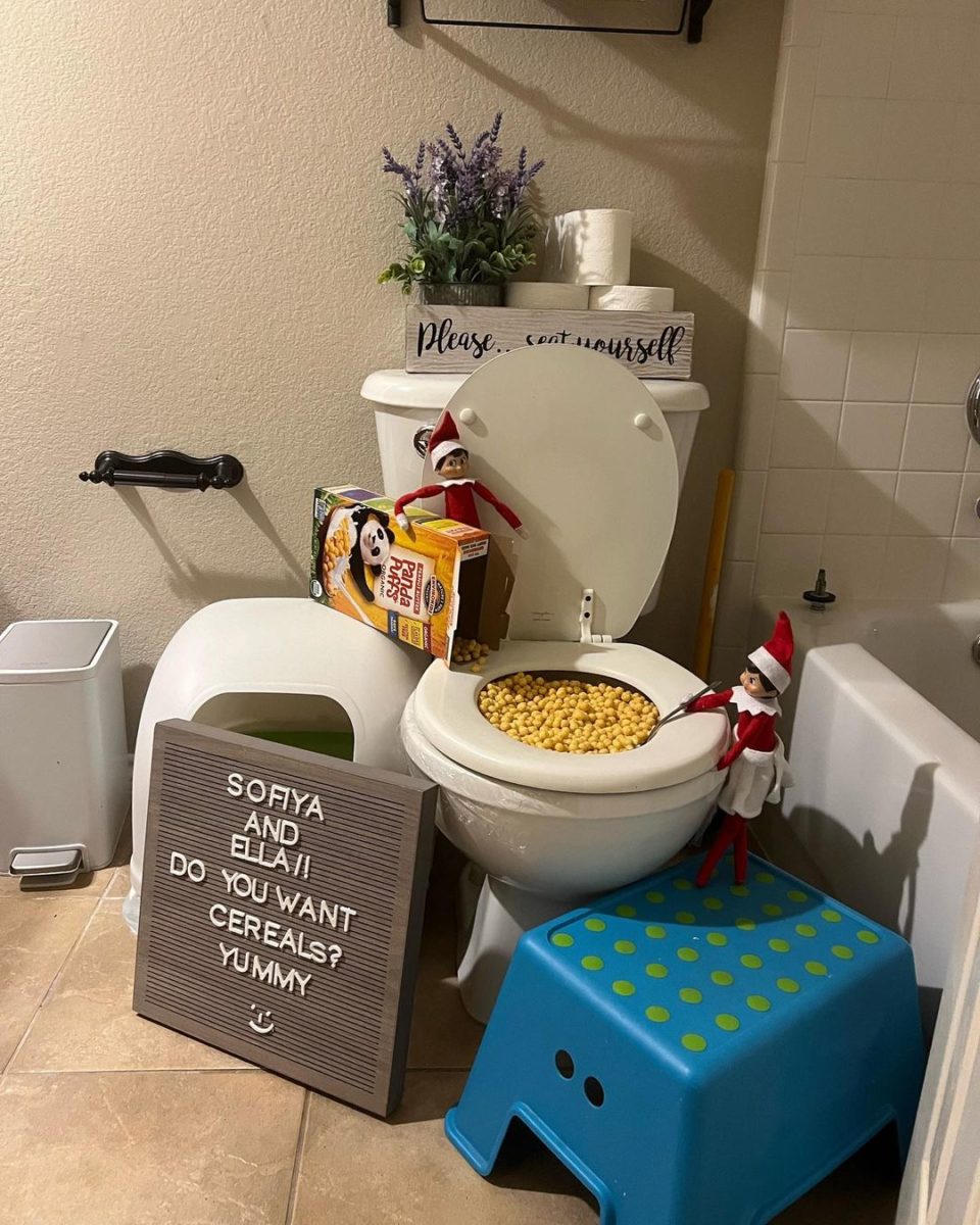 Elf on the Shelf Ideas