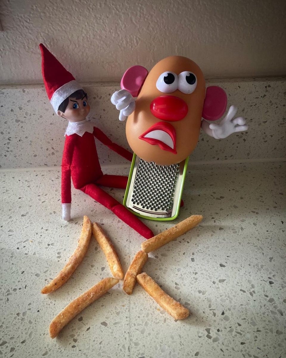 Elf on the Shelf Ideas