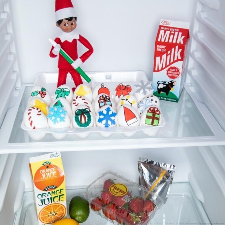 Elf on the Shelf Ideas