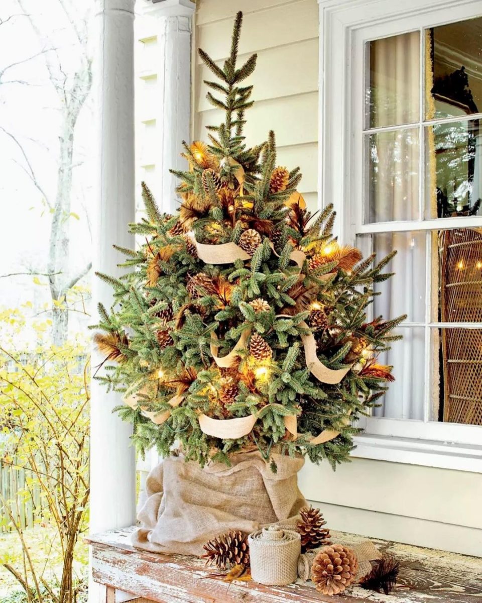 Rustic Christmas Tree Ideas