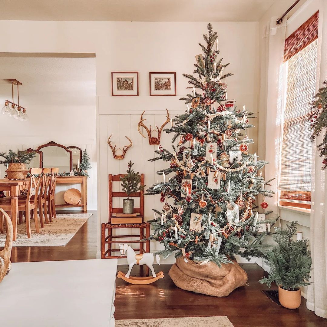 Rustic Christmas Tree Ideas