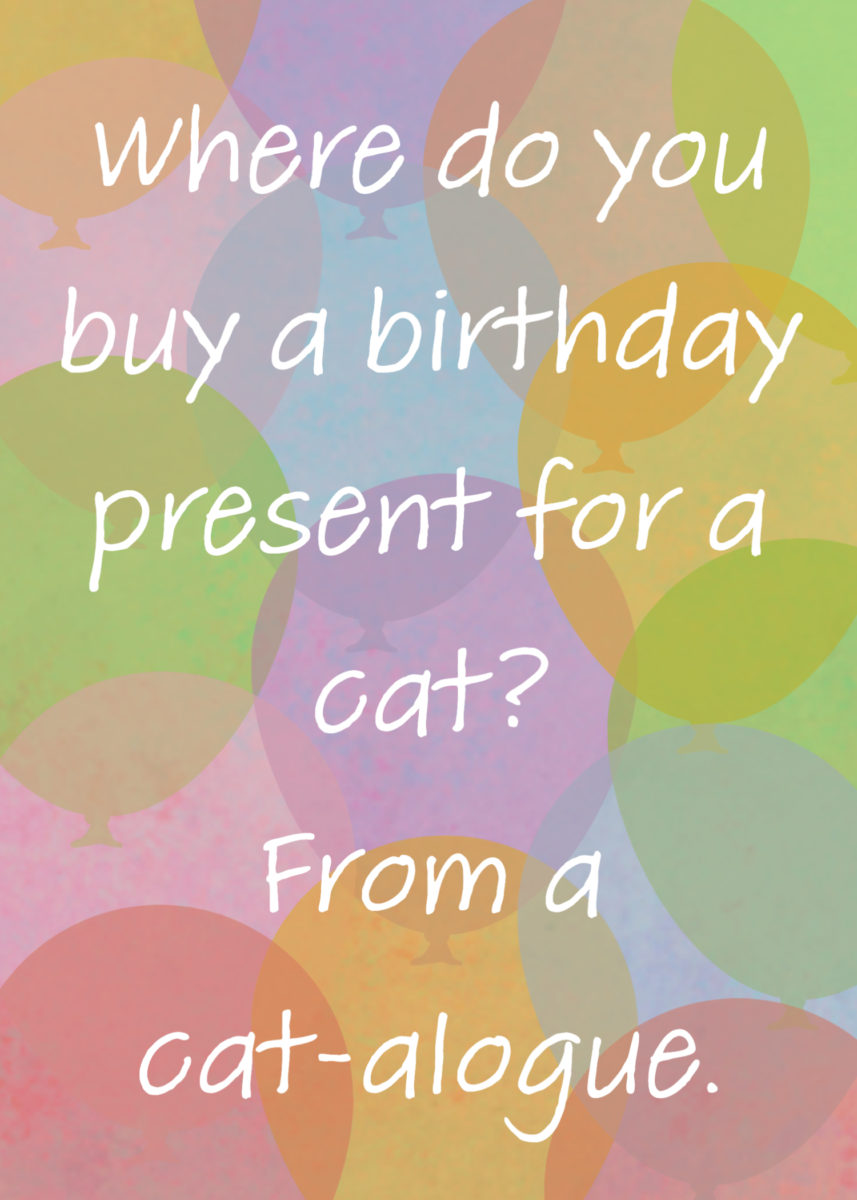 Birthday Jokes