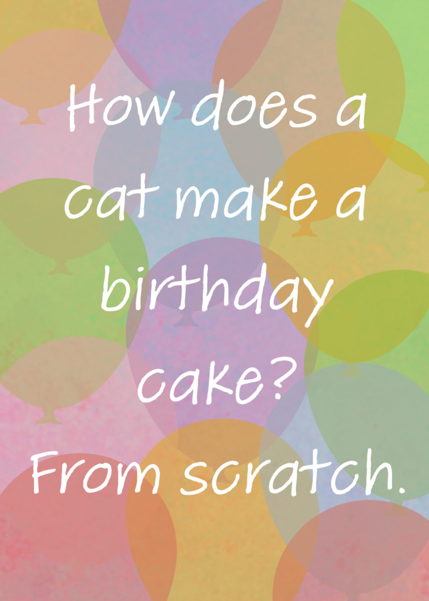 Birthday Jokes