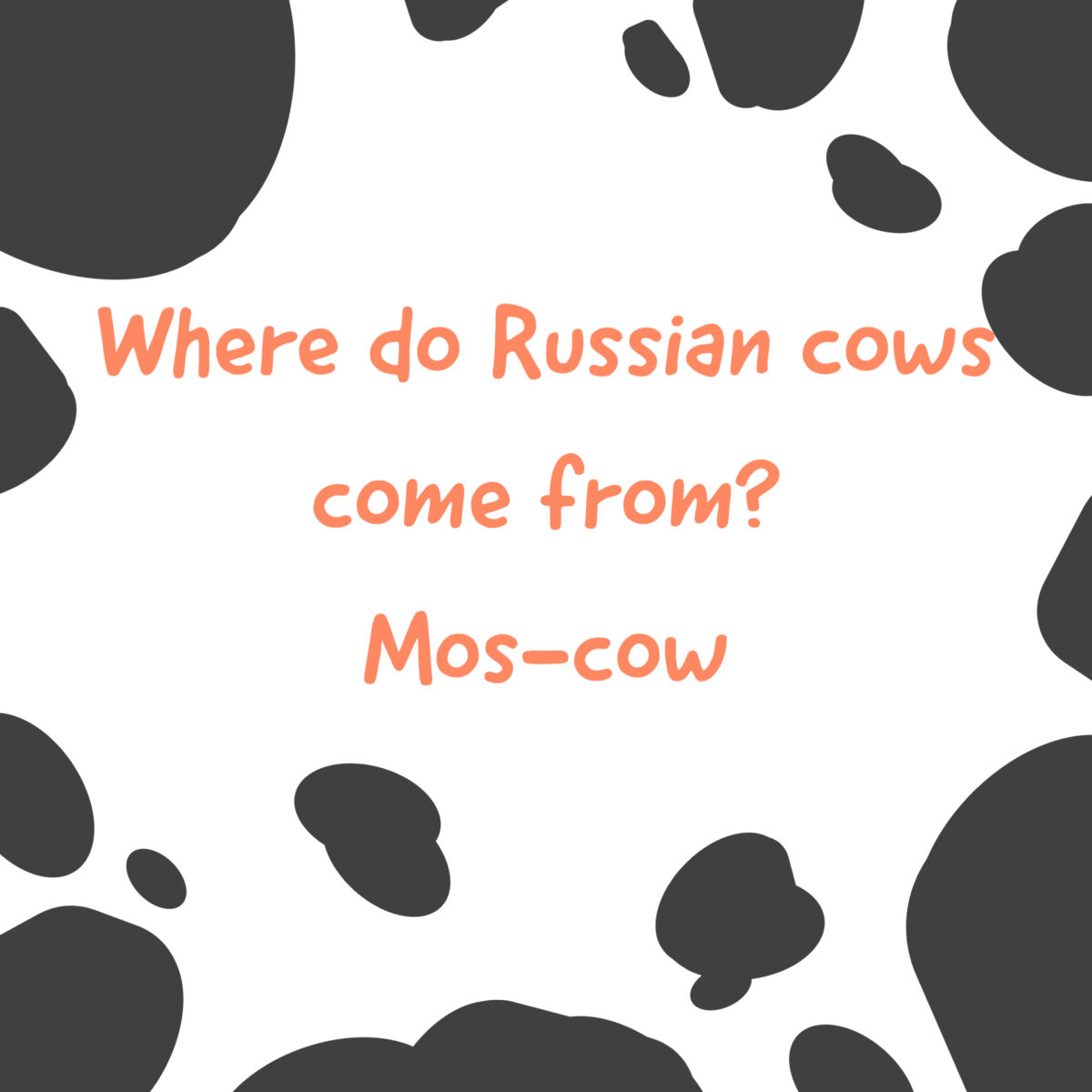 Cow Jokes