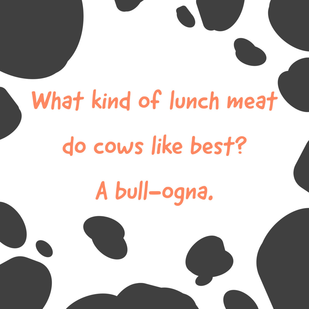 Cow Jokes