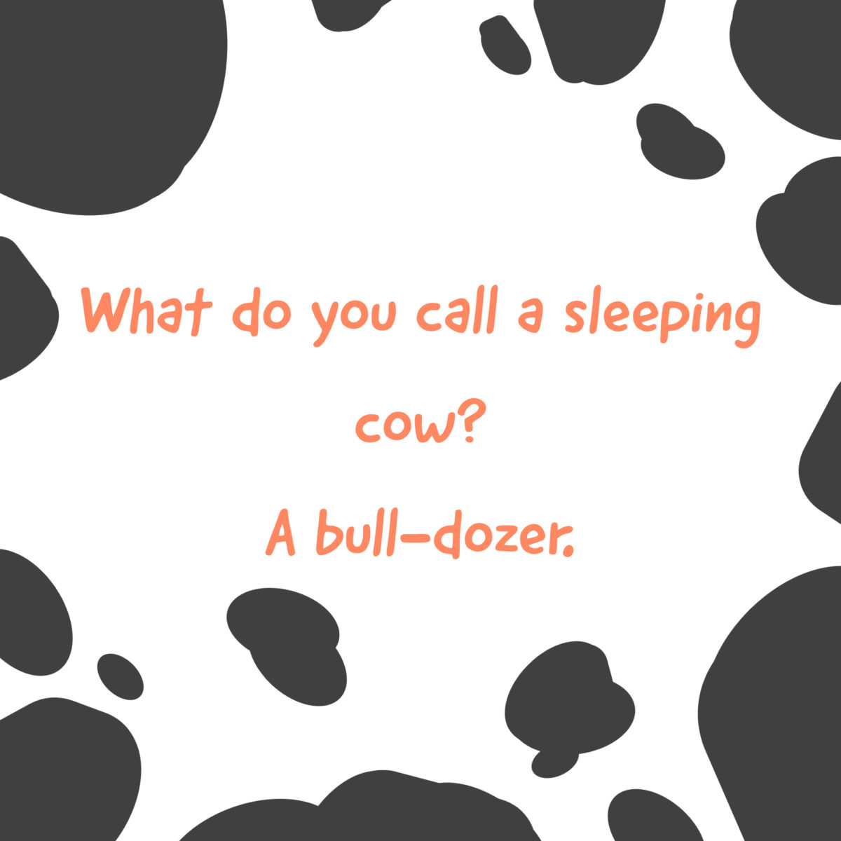 Cow Jokes