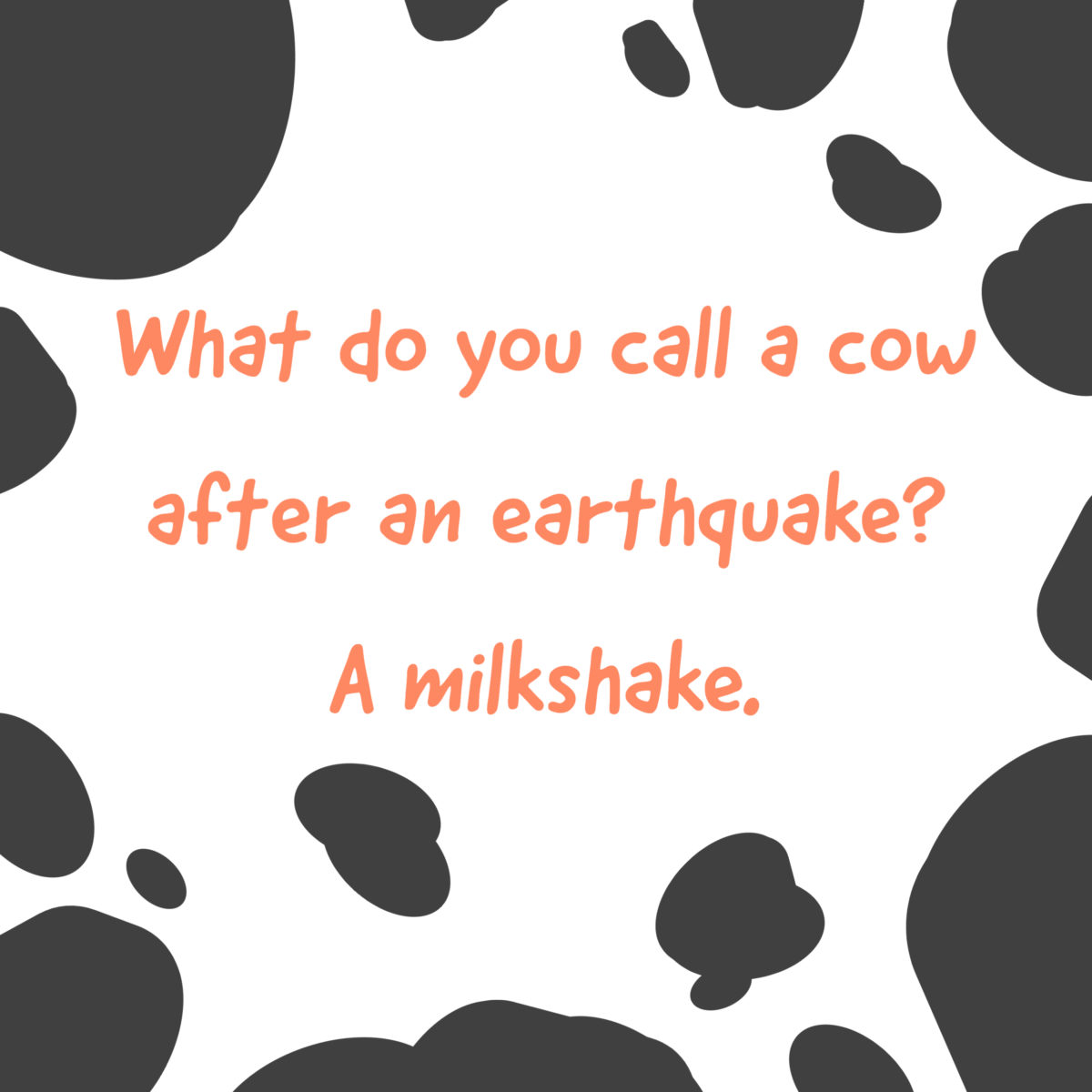 Cow Jokes