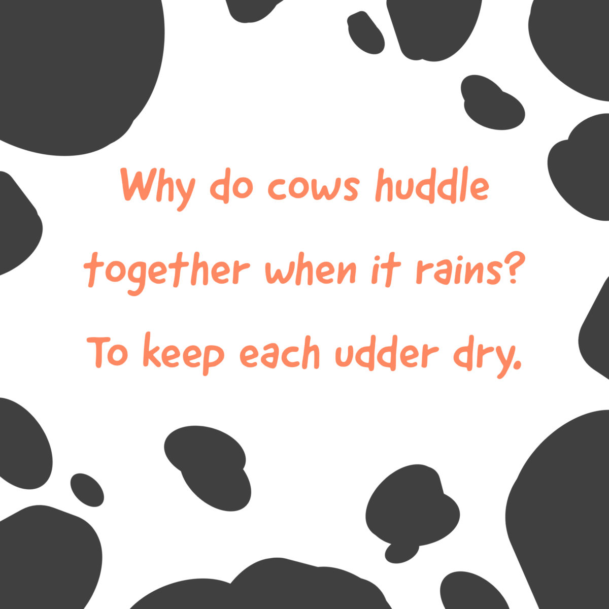 Cow Jokes