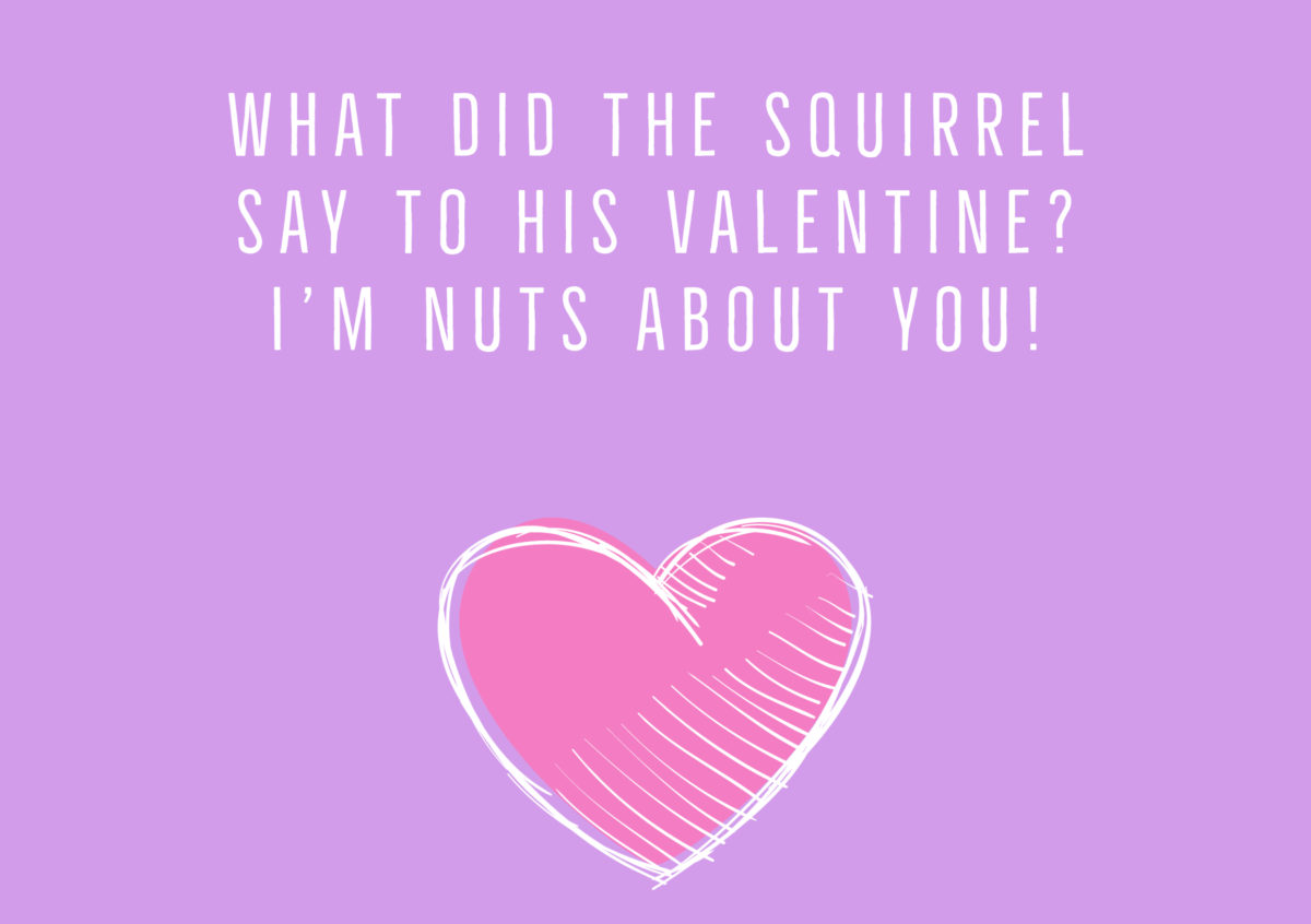 Valentine's Day Jokes