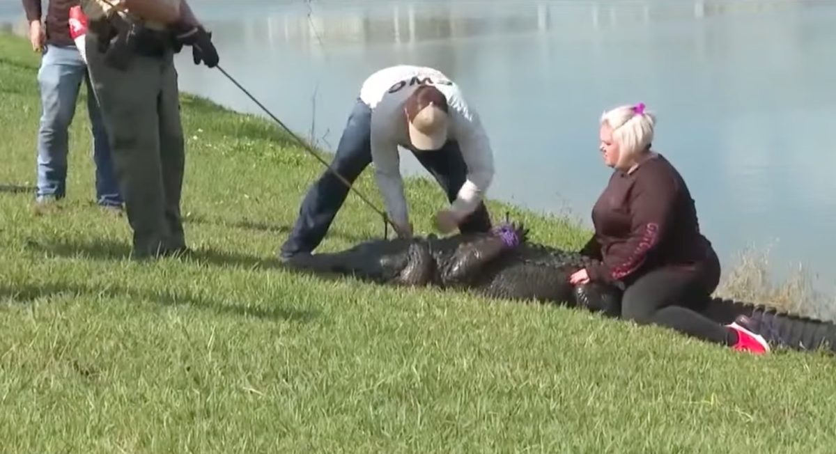 Woman Killed In Alligator Attack While Attempting to Save Her Dog | An 85-year-old woman was killed while walking her beloved dog in a 55-plus living community in Florida on February 20.