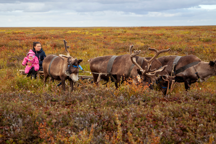 Most Popular baby names in Alaska