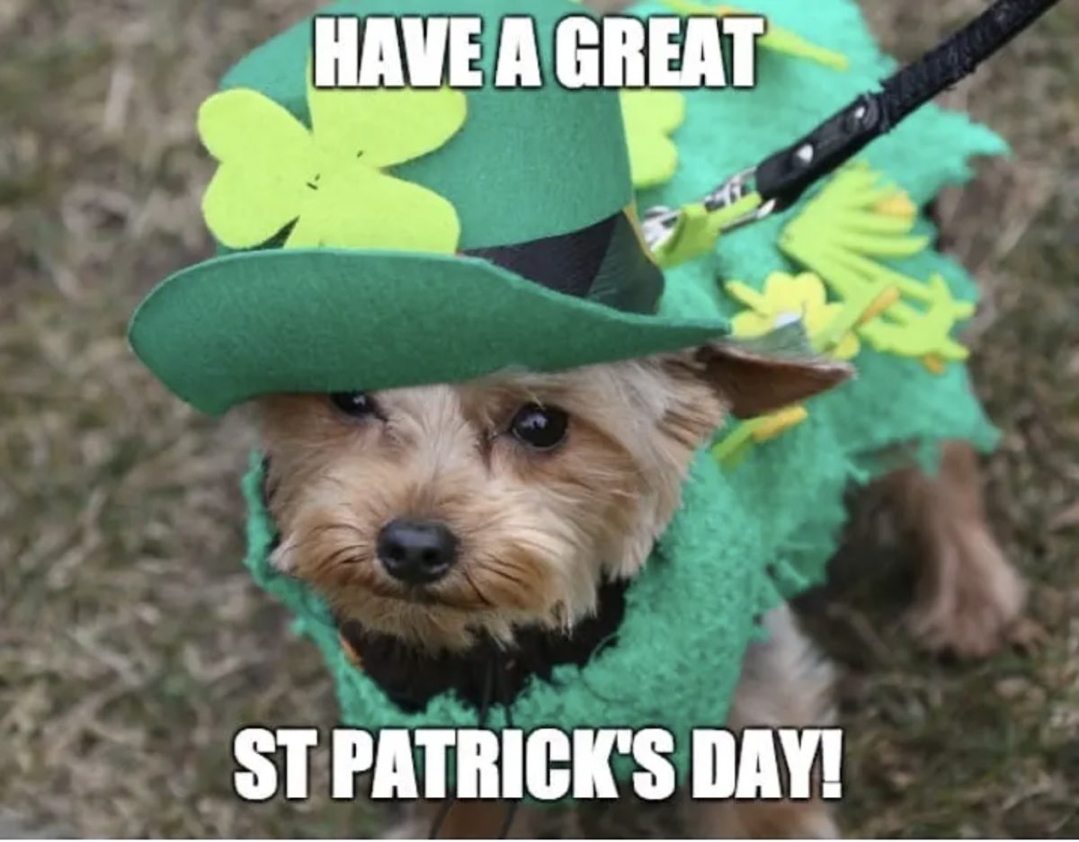 St. Patrick's Day Memes