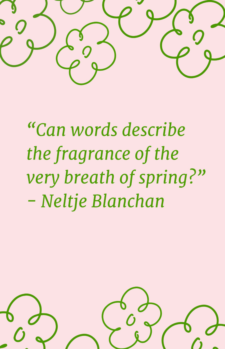 Quotes About Spring