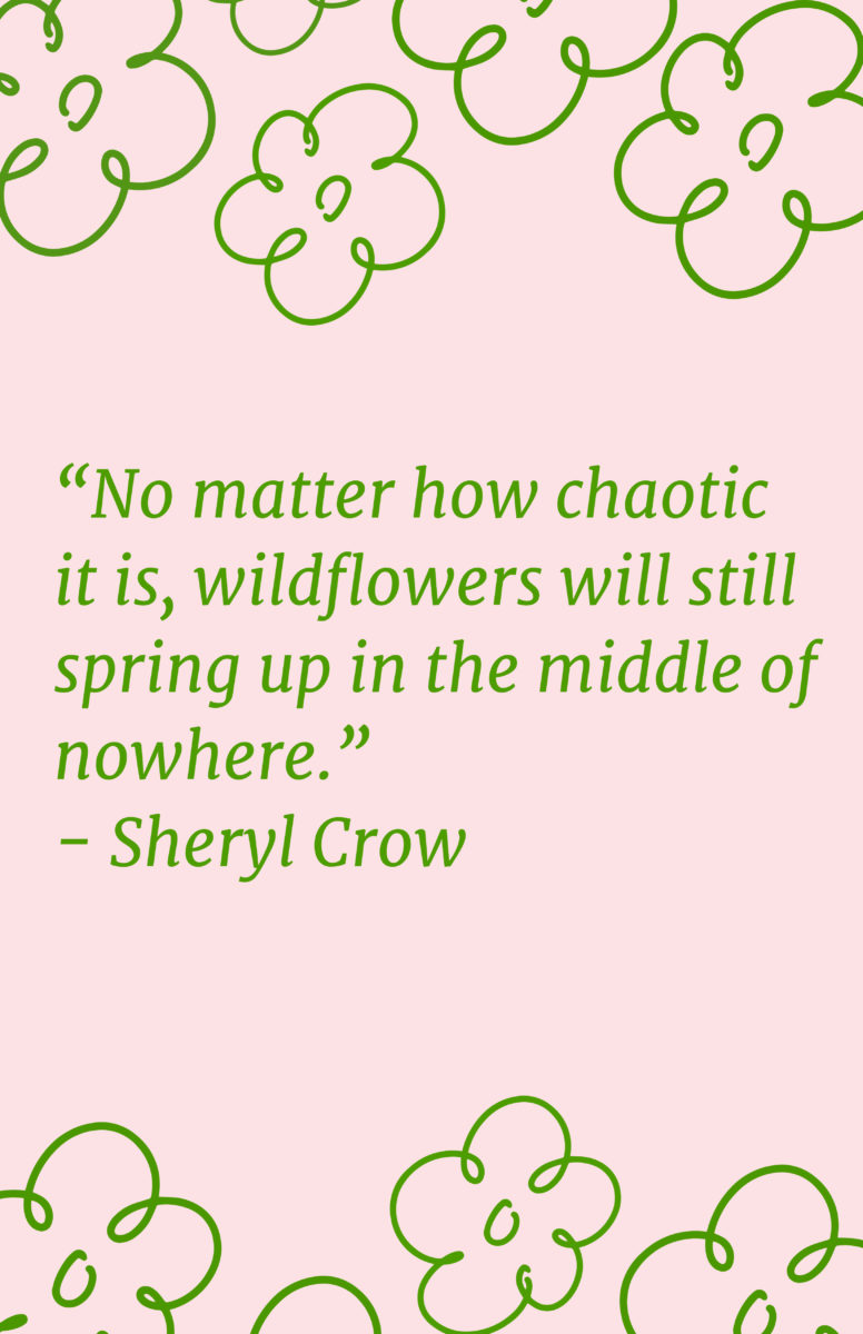 Quotes About Spring