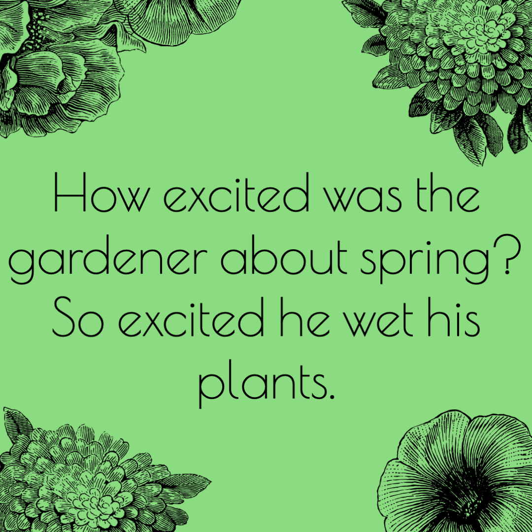 Spring Jokes for Kids