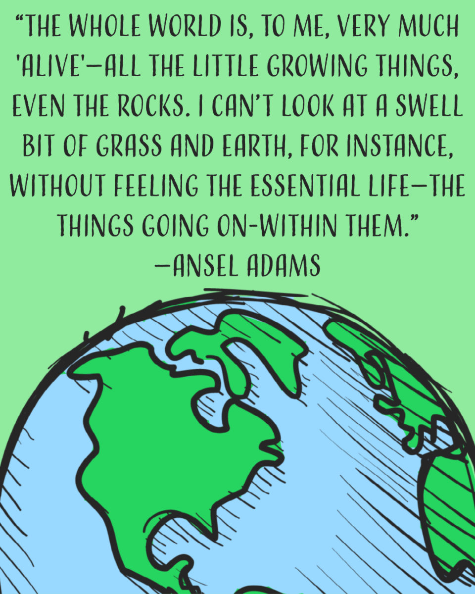 Earth Day Quotes