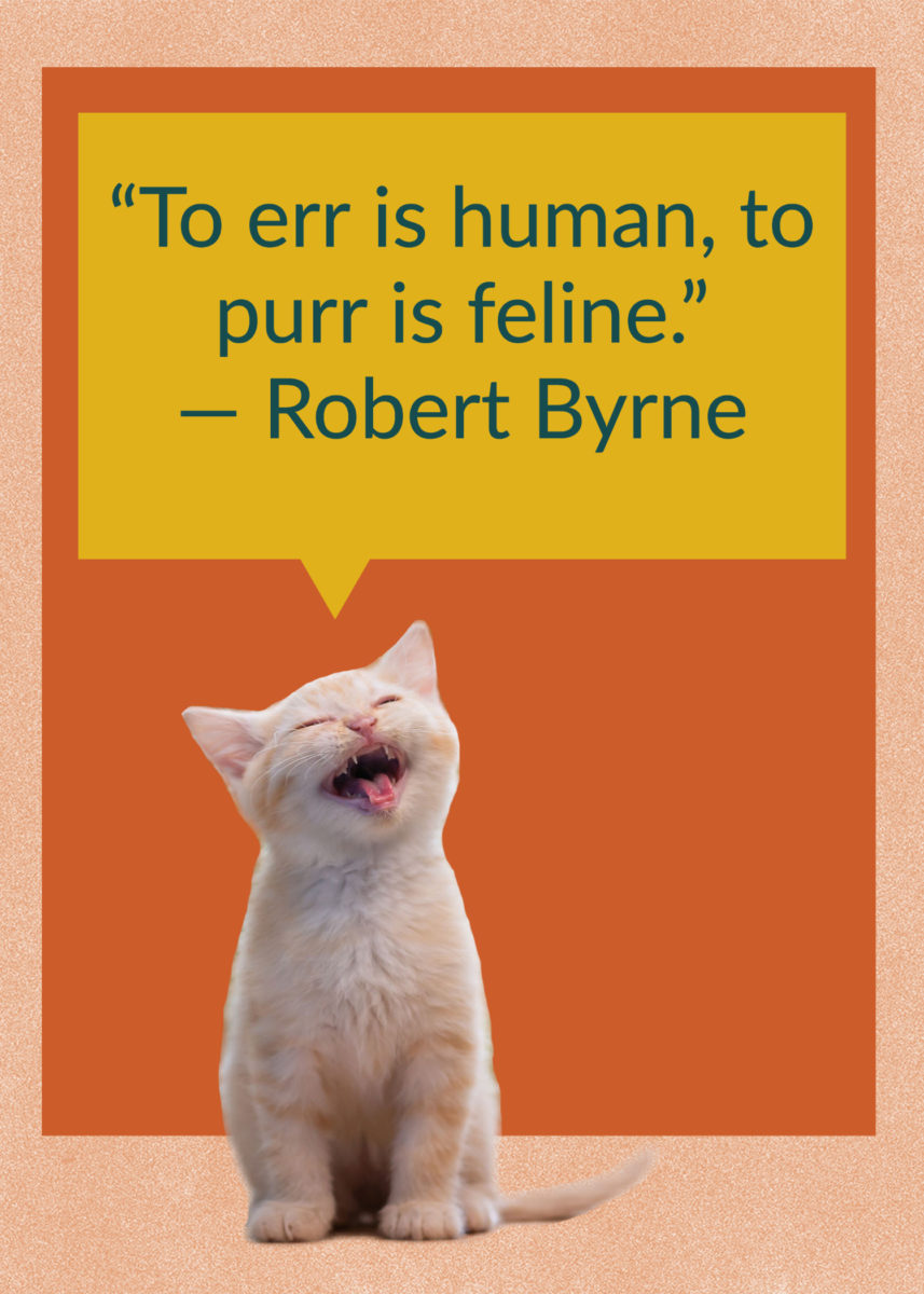 50 Quotes About Cats That Fans of Felines Will Love