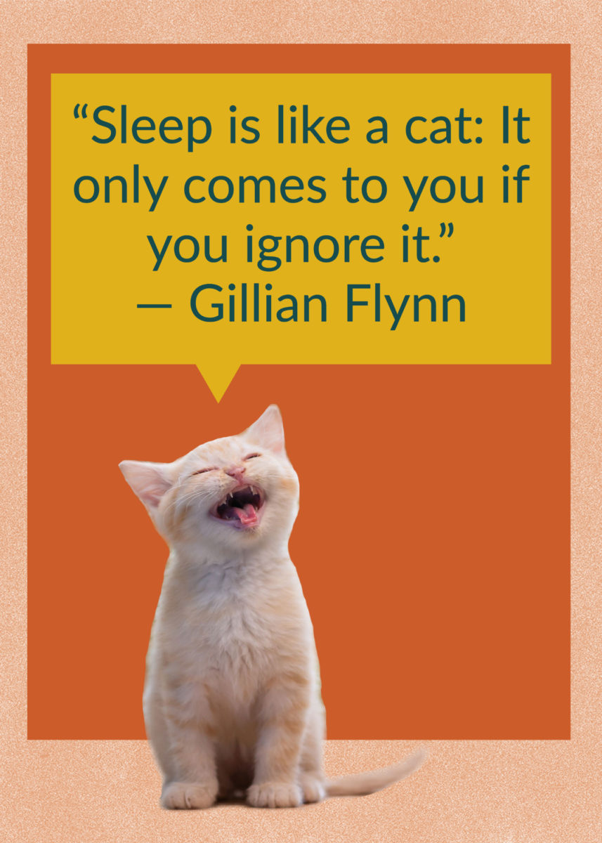 50 Quotes About Cats That Fans of Felines Will Love