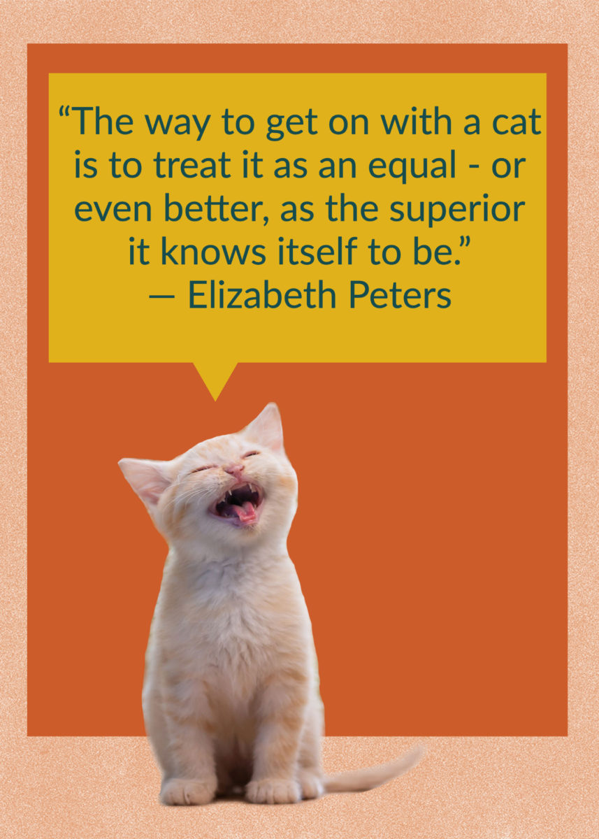 50 Quotes About Cats That Fans of Felines Will Love