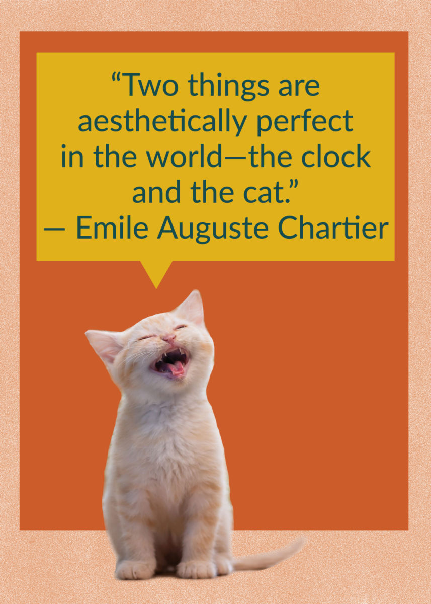 50 Quotes About Cats That Fans of Felines Will Love