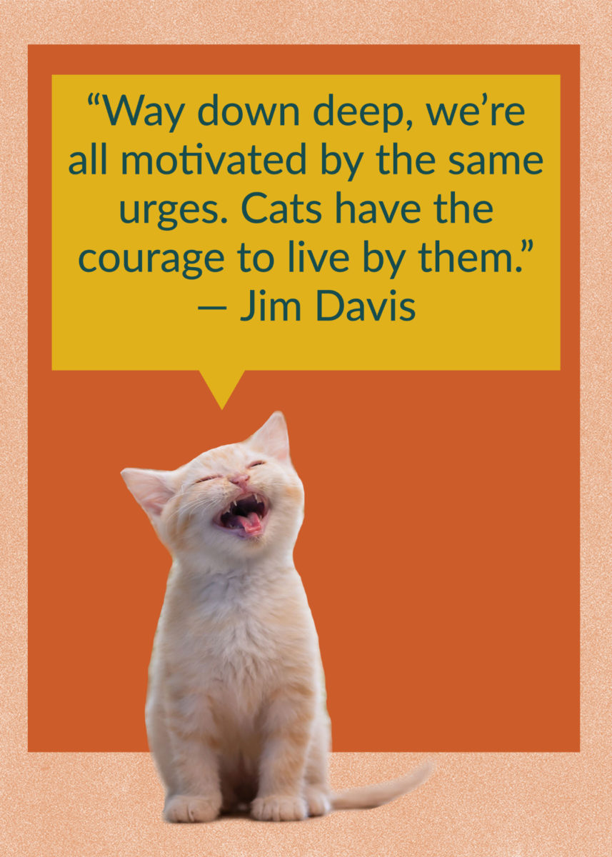 50 Quotes About Cats That Fans of Felines Will Love