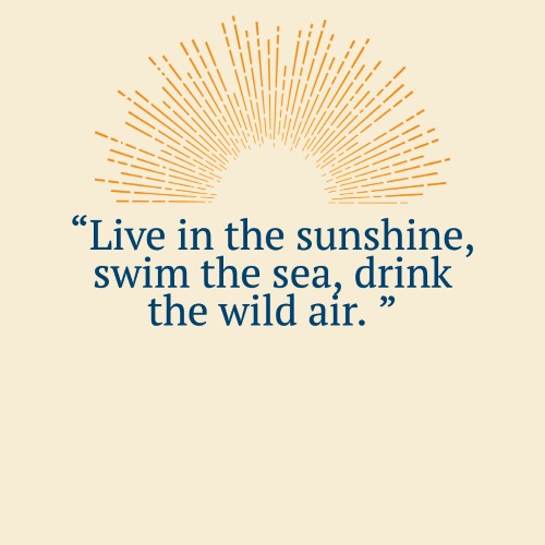 Quotes About Sunshine